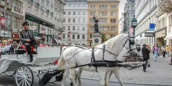 Spaziergang und/oder Wanderung in Wien & Umgebung ansehen