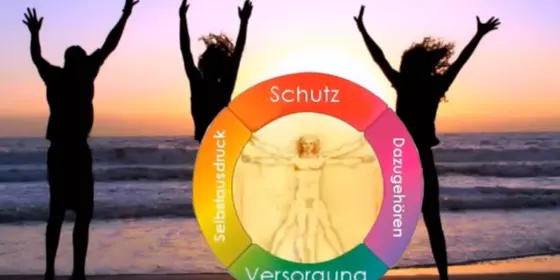 Look at Werd META-gesund! Videokurs